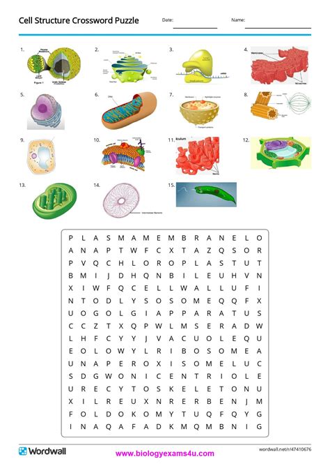 Cell Puzzle .